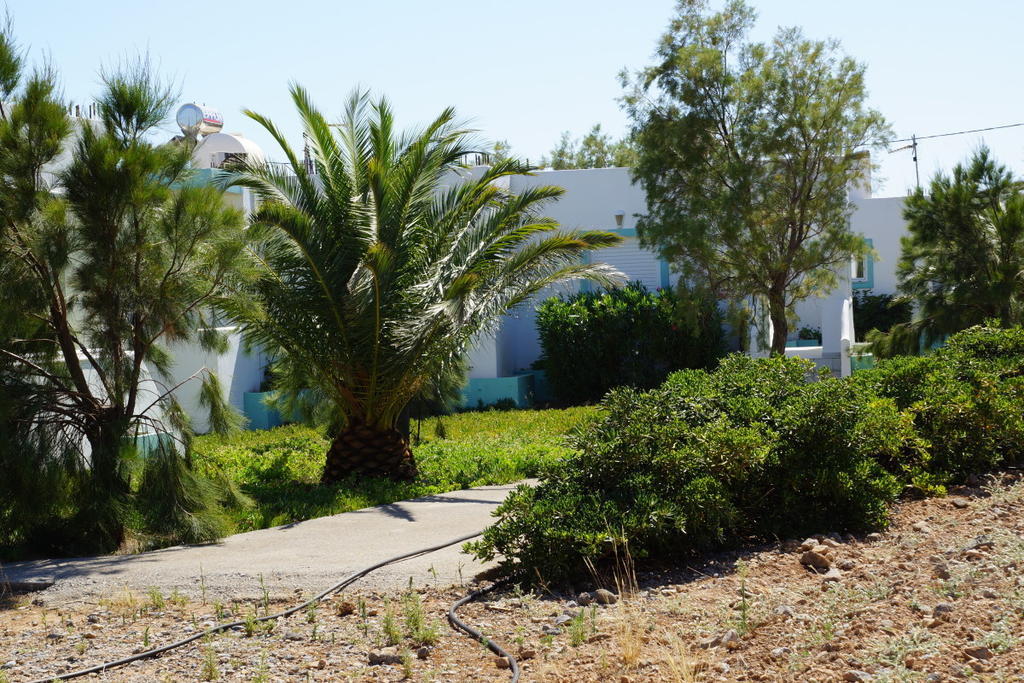 Notos Villas Frangokastello Zimmer foto